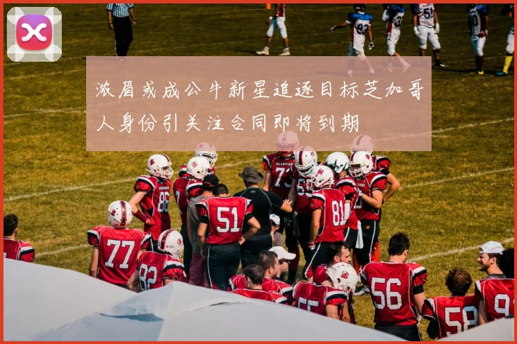浓眉或成公牛新星追逐目标芝加哥人身份引关注合同即将到期
