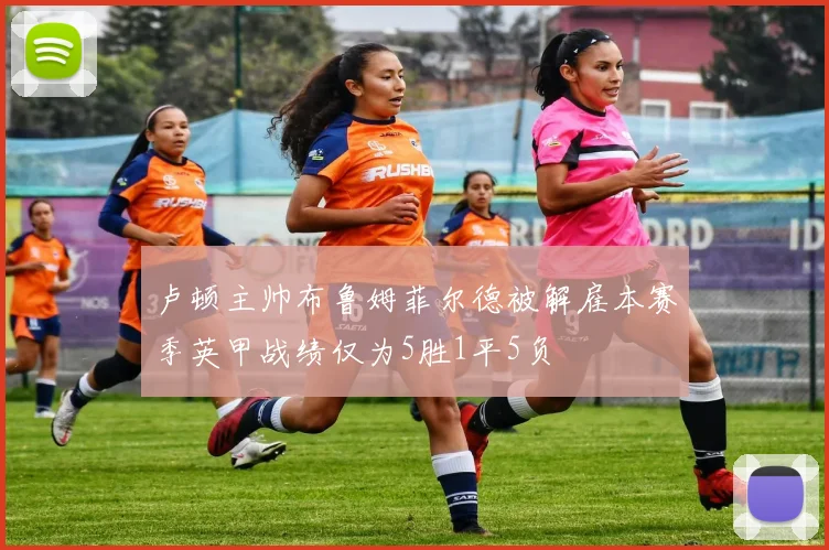 卢顿主帅布鲁姆菲尔德被解雇本赛季英甲战绩仅为5胜1平5负