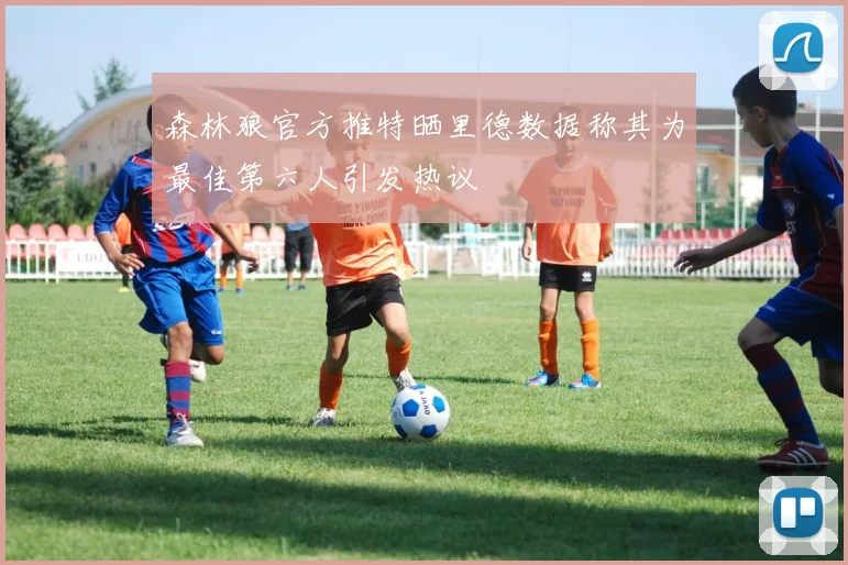 森林狼官方推特晒里德数据称其为最佳第六人引发热议