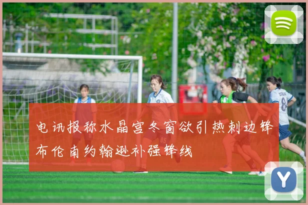 电讯报称水晶宫冬窗欲引热刺边锋布伦南约翰逊补强锋线
