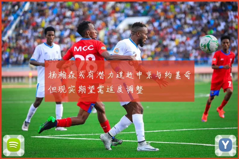 杨瀚森或有潜力追赶申京与约基奇但现实期望需适度调整