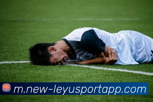 乐鱼体育品牌故事